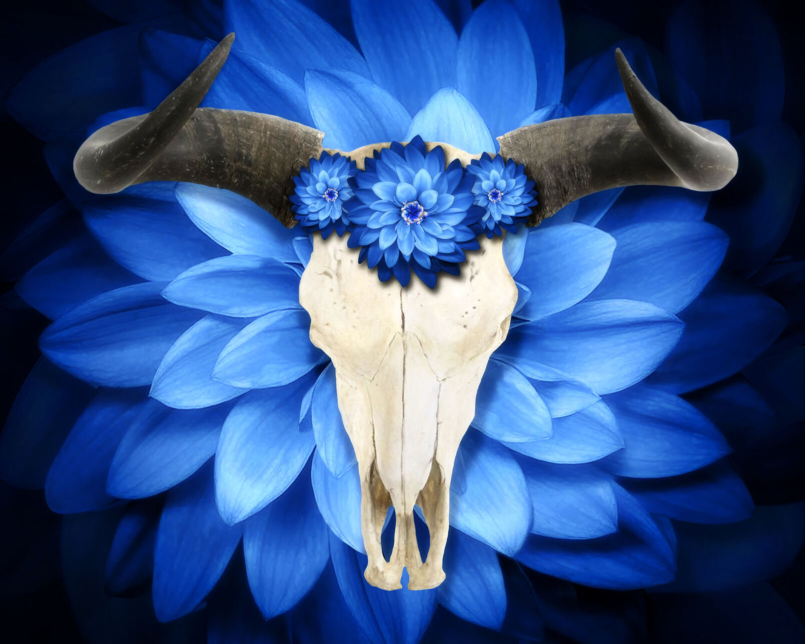aam albuqueque 4_Ditto_Amy_BlueMoo